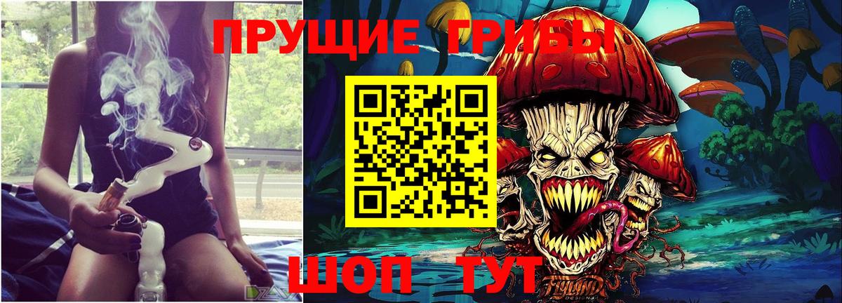 Псков  Псилоцибиновые грибы MAGIC MUSHROOMS  Вход с VPN  Псилоцибиновые грибы мицелий 
